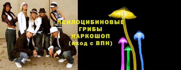 тгк Белокуриха