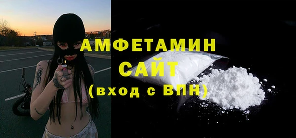 молекула духа Сясьстрой