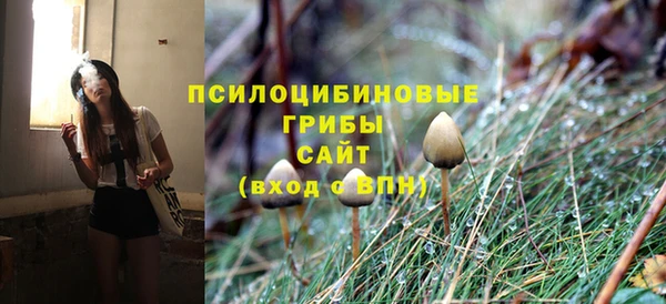 тгк Беломорск
