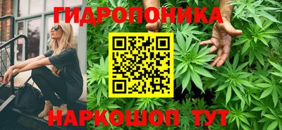 первитин Бердск