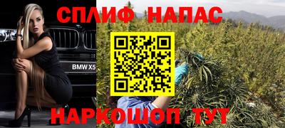 ПСИЛОЦИБИНОВЫЕ ГРИБЫ Ачхой-Мартан
