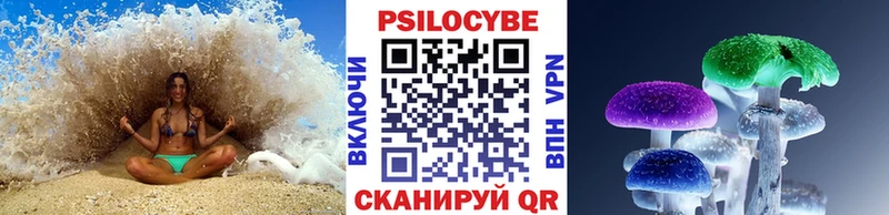 Псилоцибиновые грибы Psilocybe  купить наркотики цена  Верхний Уфалей 